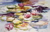 Waterlilies 