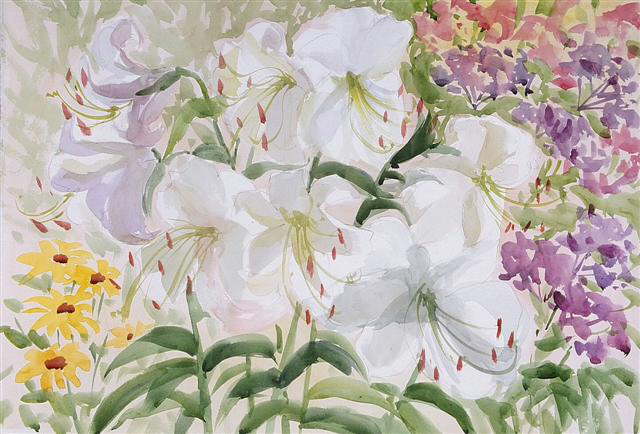 Blake's Lily