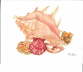 Shells Card 